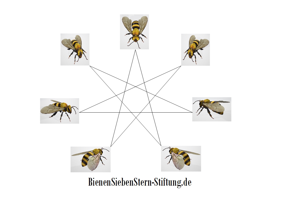 BinenSiebenStern-Stiftung